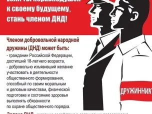 добровольная народная дружина